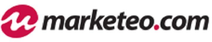RAPORT ROCZNY ZA 2008 ROK MARKETEO.