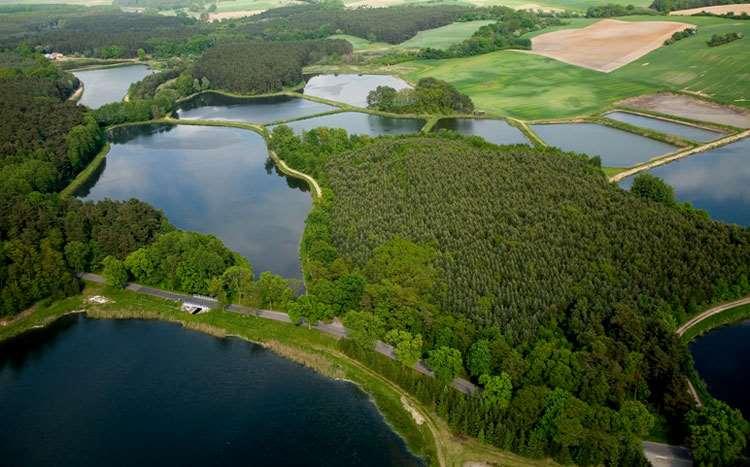 wielkopolski region nizinny, w północnej części jeziora polodowcowe (Pojezierza: Lubuskie, Wielkopolskie i Leszczyńskie), liczne zabytki