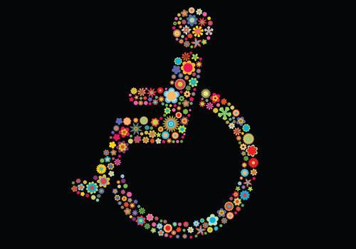 Rodzaje niepełnosprawności: Niepełnosprawność ruchowa, Niepełnosprawność intelektualna,