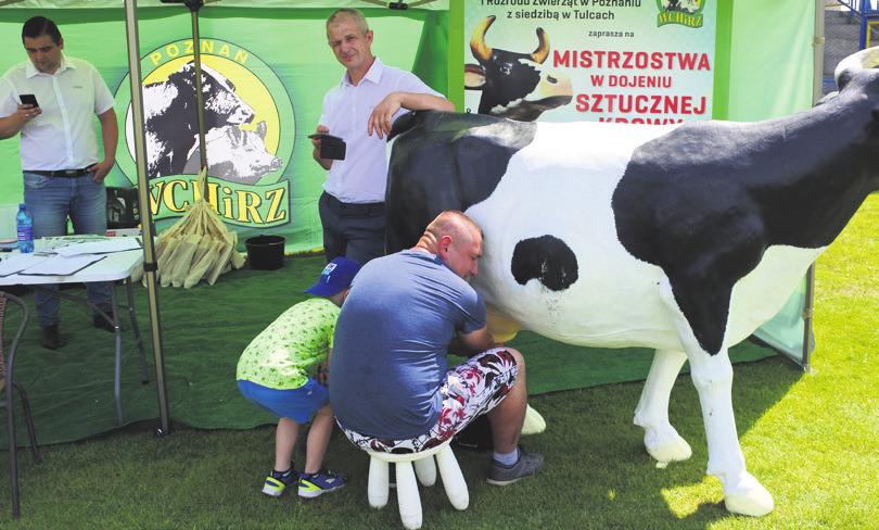 Zadaniem uczestników było jak najszybsze wypicie 1 litra mleka. Pierwsze miejsce w tych mistrzostwach zajął Wiesław Szydłowski. Zadanie wykonał w 8,34 sekundy.