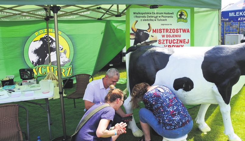 Sztucznej Krowy. Ogromny upał i niezwykłe emocje sprawiły, że na stoisku WCHiRZ w sobotnie popołudnie było naprawdę gorąco.