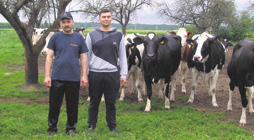 Jeszcze kilkanaście lat temu wiele gospodarstw w tej okolicy zajmowało się hodowlą krów mlecznych i produkcją mleka.