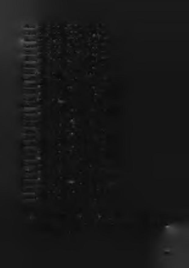 14.1.D. - ŚR 8250/SW/000952/17 z dnia 10.10.2017 r. 15.A.F. - ŚR 8250/SW/000436/17 z dnia 14.09.2017 r. 16.M.B. - ŚR 8250/SW/000776/17 z dnia 28.09.2017 r. 17.A.B. - ŚR 8250/SW/000234/17 z dnia 7.09.2017 r. 18.