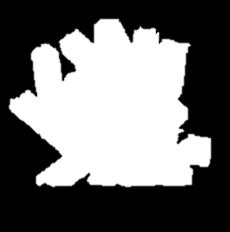 biomasa RDF