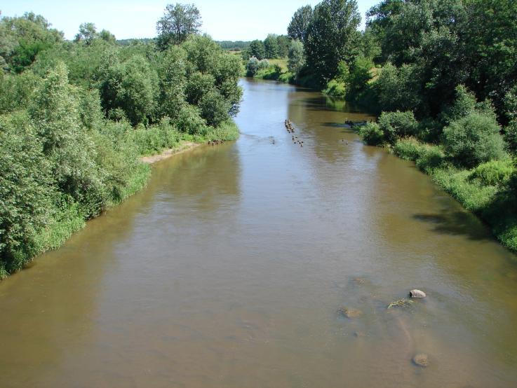 Wólka Tanewska (źródło: archiwum WIOŚ) Klasyfikacja stanu wód powierzchniowych (a właściwie stanu jednolitych części wód powierzchniowych) w Polsce, w 2008 roku, jest opracowywana przez Instytut