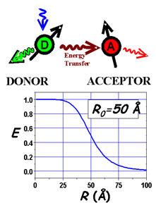 energii (FRET) Przekaz energii (FRET) FRET