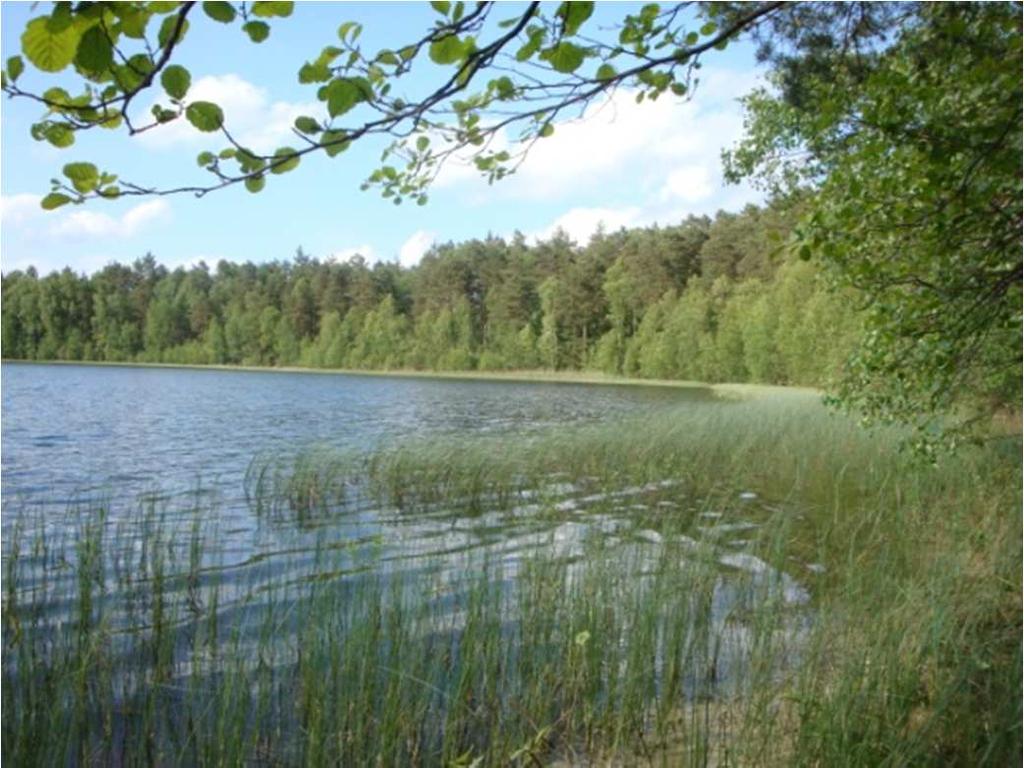Jezioro w dobrym stanie