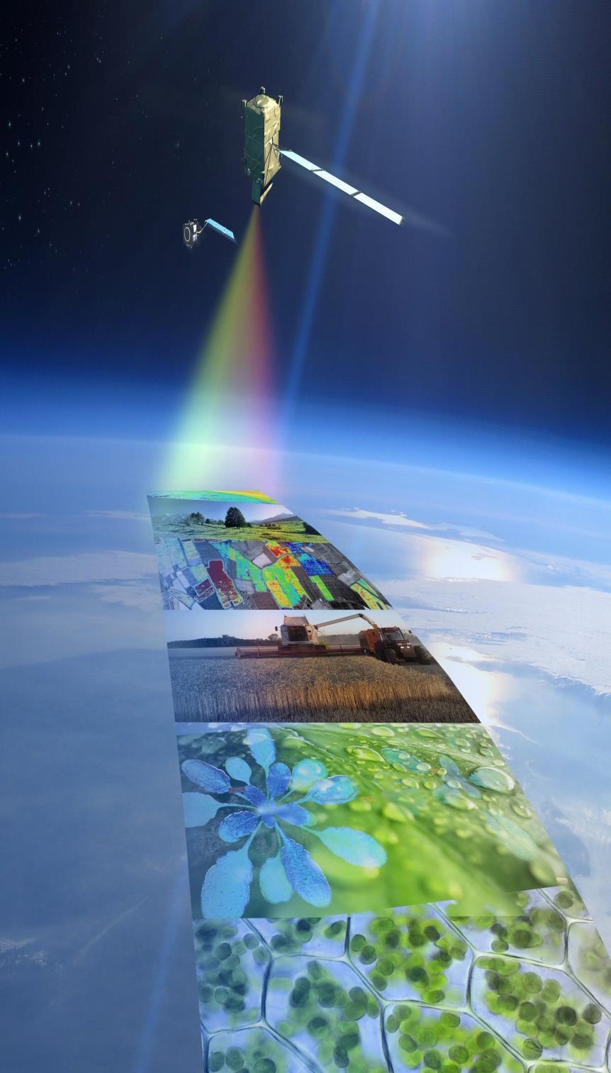 https://www.esa.