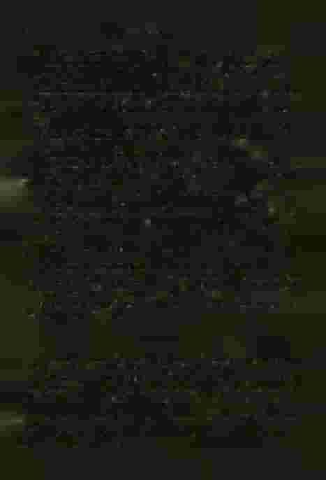 : m -kyii, j : тіу -к У ІІ, kx -px I. Episinus angulatus (B l a c k w a l l, 1836). Murawa kserotermiczna krzewy, ml V j. Eurÿépis flavûmaculata (С. L. Коен* 1836). Grąd i ols. j: m IX -px I.