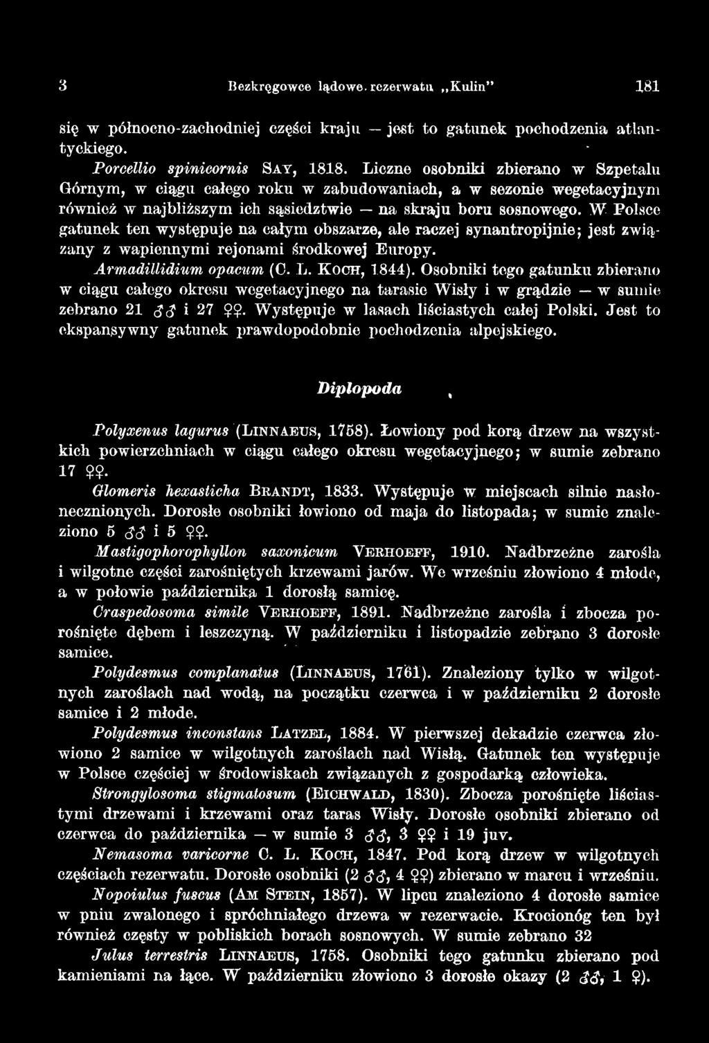 Jest to ekspansywny gatunek prawdopodobnie pochodzenia alpejskiego. Diplopoda ( Polyxenus lagurus '(Lin n a e u s, 1768).