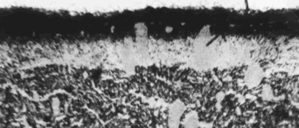 L. Berkowski, J. Borowski 8 a) b) ε ε γ' γ' α' α' Rys. 3.