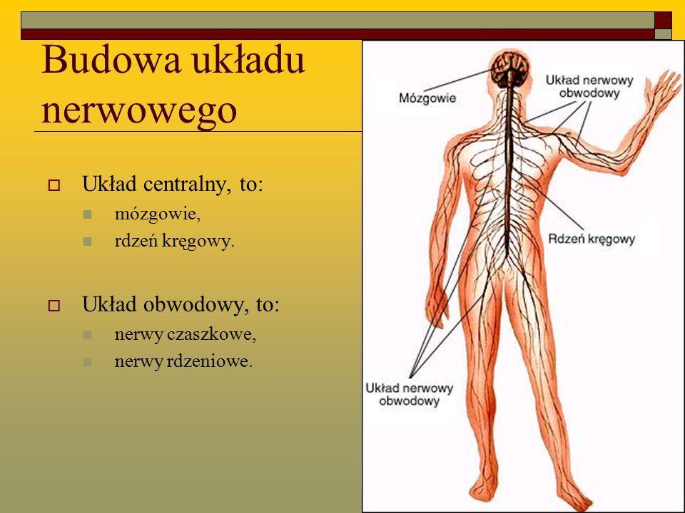 układów. 2.