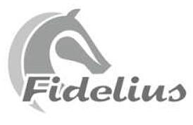 ZAWODY REGIONALNE W SKOKACH PRZEZ PRZESZKODY JEŹDZIECKI PUCHAR LUBELSZCZYZNY FIDELIUS 0.05.05 r. Konkurs nr kl.