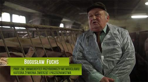 Polska Ocena jęczmienia hybrydowego jako podstawowej paszy w tuczu świń Aktualności Produkty 15.06.