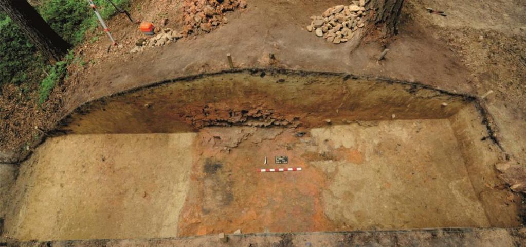 Brzezówka, site no. 10.