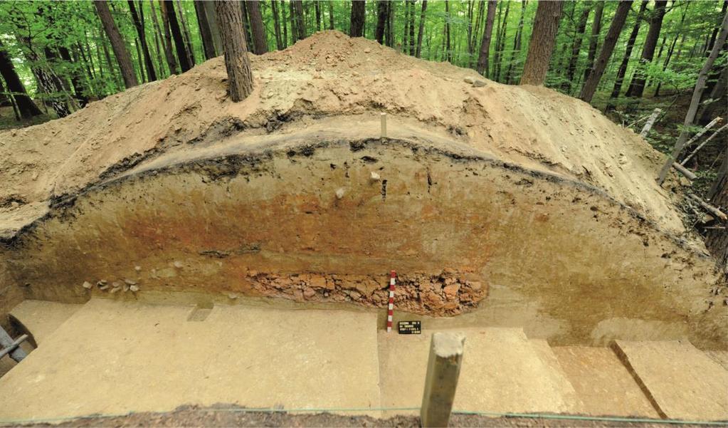 Figure 16. Brzezówka, site no. 10.