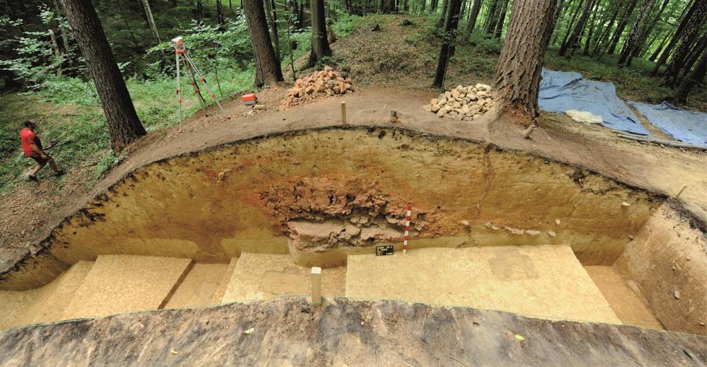 rampart Figure 17. Brzezówka, site no. 10.