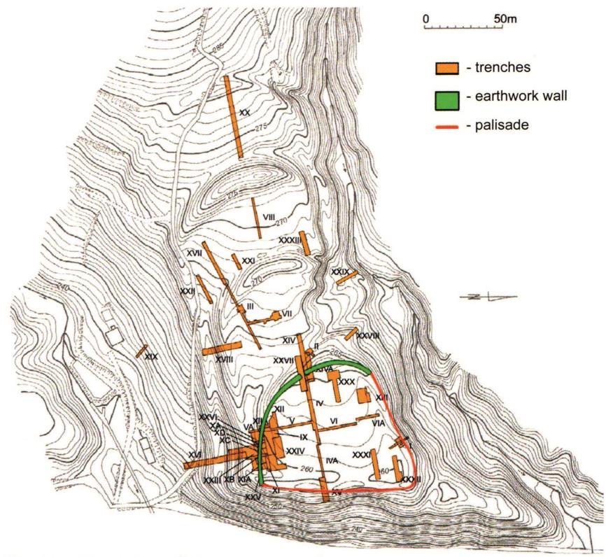 Figure 3. Trzcinica, site no. 1.