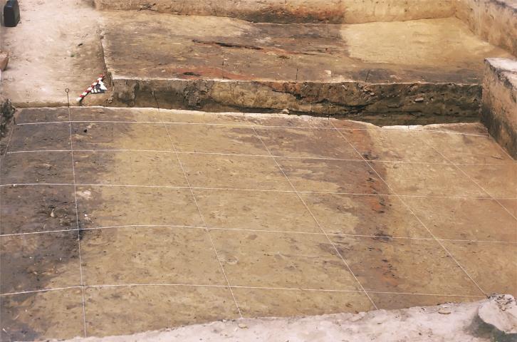 Figure 4. Trzcinica, site no. 1. Area of older phase of the OFC settlement (OFC-I) Figure 5. Trzcinica, site no. 1. Trenches XB,C XIA with a view onto the road, earthwork embankments and layers of the beginnings of bronze age settlements.
