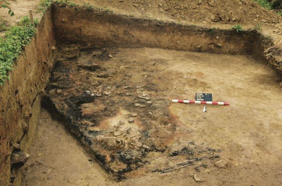 pottery, fluted mugs, as well as innumerable bone tools, tools made of stone and burnt wheat seeds, millet or acorn. It is dated to the 1 st settlement phase of the OFC in Trzcinica (Fig.