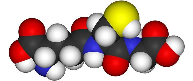 C H. A L Z H E I M E R A Adv Protein Chem Struct Biol. 2017;108:33-57.