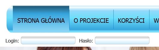 2.3 Logowanie Autoryzowany użytkownik może zalogować się do systemu uzupełniając pola login i hasło znajdujące się zaraz pod menu głównym systemu (rys. 3) oraz wciskając klawisz Enter. rys.