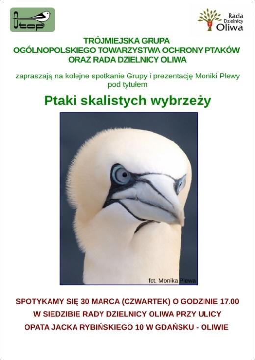 regularne Mają