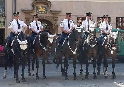 9 Po sformułowaniu kolumny rozpoczęliśmy marsz pod Pomnik Zesłańcom Sybiru /ul.: Odrzańską i Pomorską/. Dzięki Straży Miejskiej kolumnę zamykało 5-ciu jeźdźców na wspaniałych rumakach!