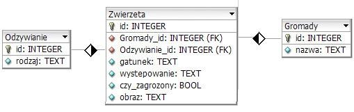 Zadanie egzaminacyjne Wykonaj aplikację internetową witryny o kręgowcach. Wykorzystaj pakiet XAMPP jako środowisko bazodanowo aplikacyjne.