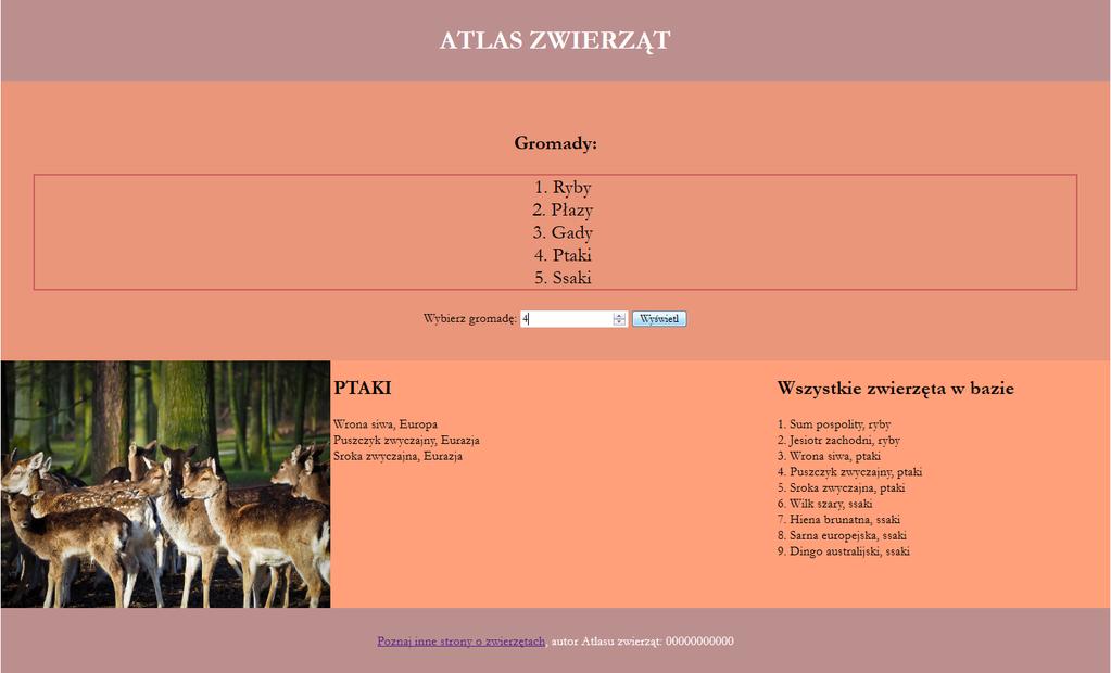 Witryna internetowa Obraz 2. Witryna internetowa Cechy witryny: Składa się ze strony o nazwie index.