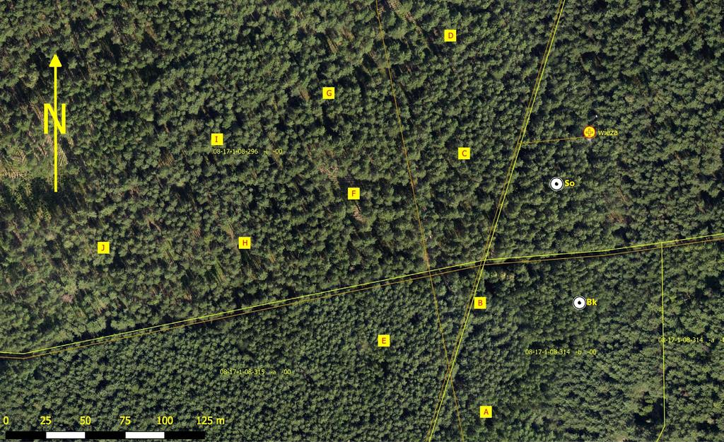 Rys. 2. Mapa położenia powierzchni próbnych, oznaczonych literami A J oraz So i Bk, na tle leśnej mapy numerycznej Nadleśnictwa Tuczno z podkładem ortofotomapy z 2008 roku Źródło: opracowanie własne.