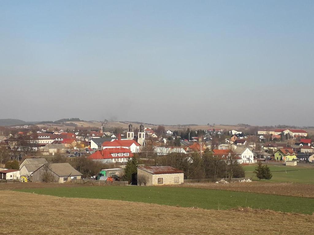 Poza grobami parafian i innych osób cywilnych są tu mogiły wojenne