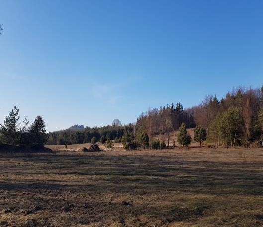 Po przebyciu 1,5 km widzimy tablicę, która informuje nas, że jesteśmy na terenie Jurajskiego Parku