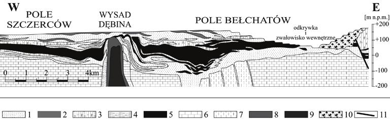 2. Ogólna budowa geologiczna rejonu wysadu solnego Dębina Wysad stanowi kulminację soli permskich wewnątrz młodych utworów wypełniających strukturę geologiczną centralnej Polski zwaną rowem