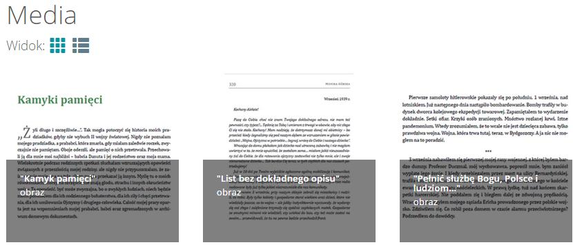 10. Media Po przejściu do zakładki Media wyświetlona zostanie lista wszystkich publicznych obiektów regionalnych (tj.