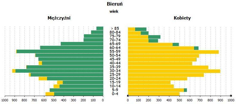 Rys. 4. Struktura wieku i płci mieszkańców Bierunia w 2016 r.