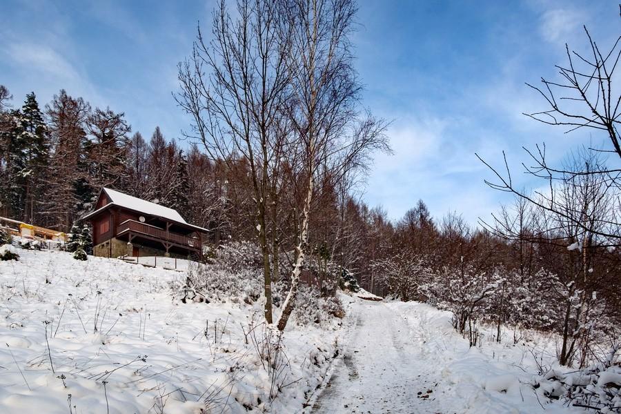 Natomiast w starszych Inuitach zelówka wykazywała jednak większą uniwersalność, sobie dobrze na lodzie i twardych powierzchniach, jak np. mokry asfalt.