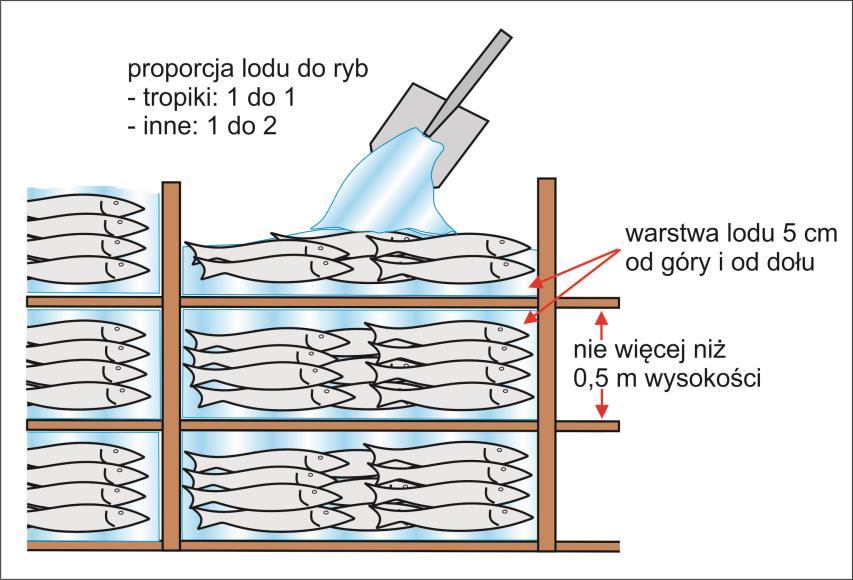 Należy pamiętać również o tym, by boki pojemnika były wyłożone lodem o tej samej grubości warstwy.