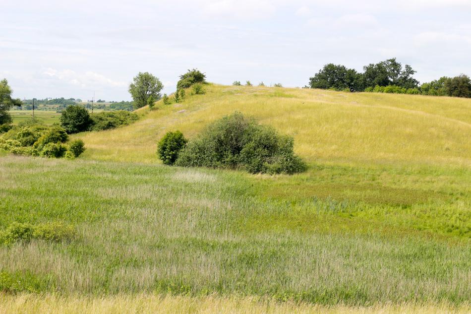 Fot. 1. Rezerwat Skarpy Ślesińskie widok ogólny (27. 06. 2015 r.; fot. N.
