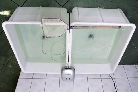Zalecane dawki poszczególnych preparatów przedstawione s¹ w tab. 4. TABELA 4 Zalecane warianty hormonalnej stymulacji samców lina (wg Cejko i in. 20