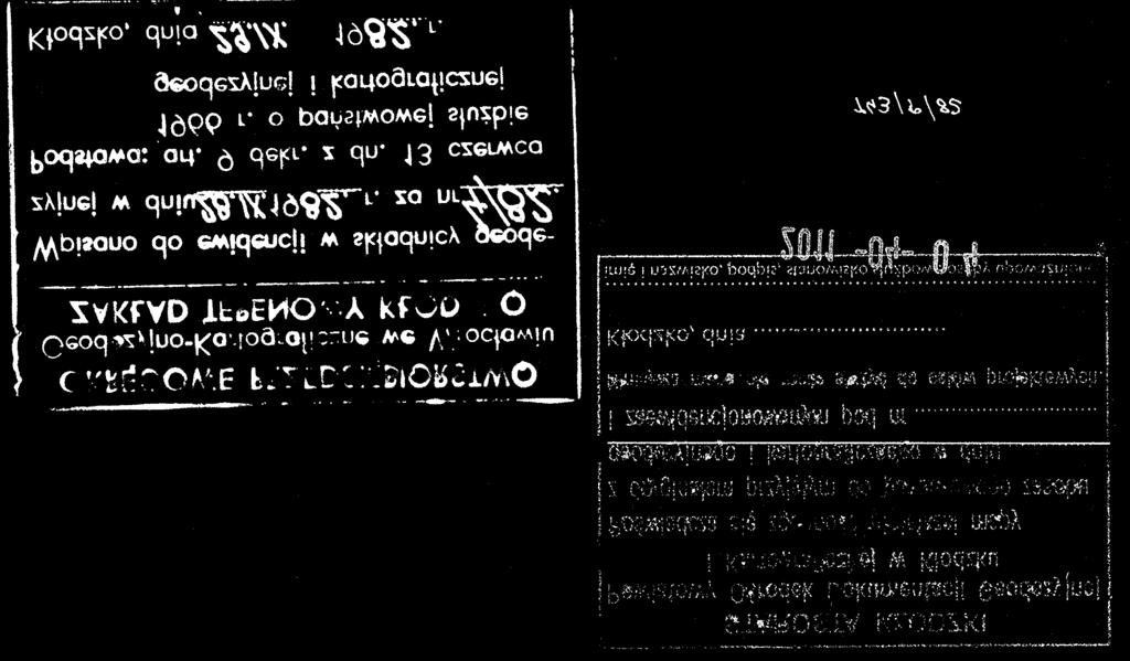 01 NIEPRZEKRACZALNA LINIA ZABUDOWY MIEJSCE ZMIANY LINII ZABUDOWY 4 m ZN/KPW 1.01 6 m 3 m MW/U 1.01 KDW 1.01 6 m KPP 1.02 KPP 1.