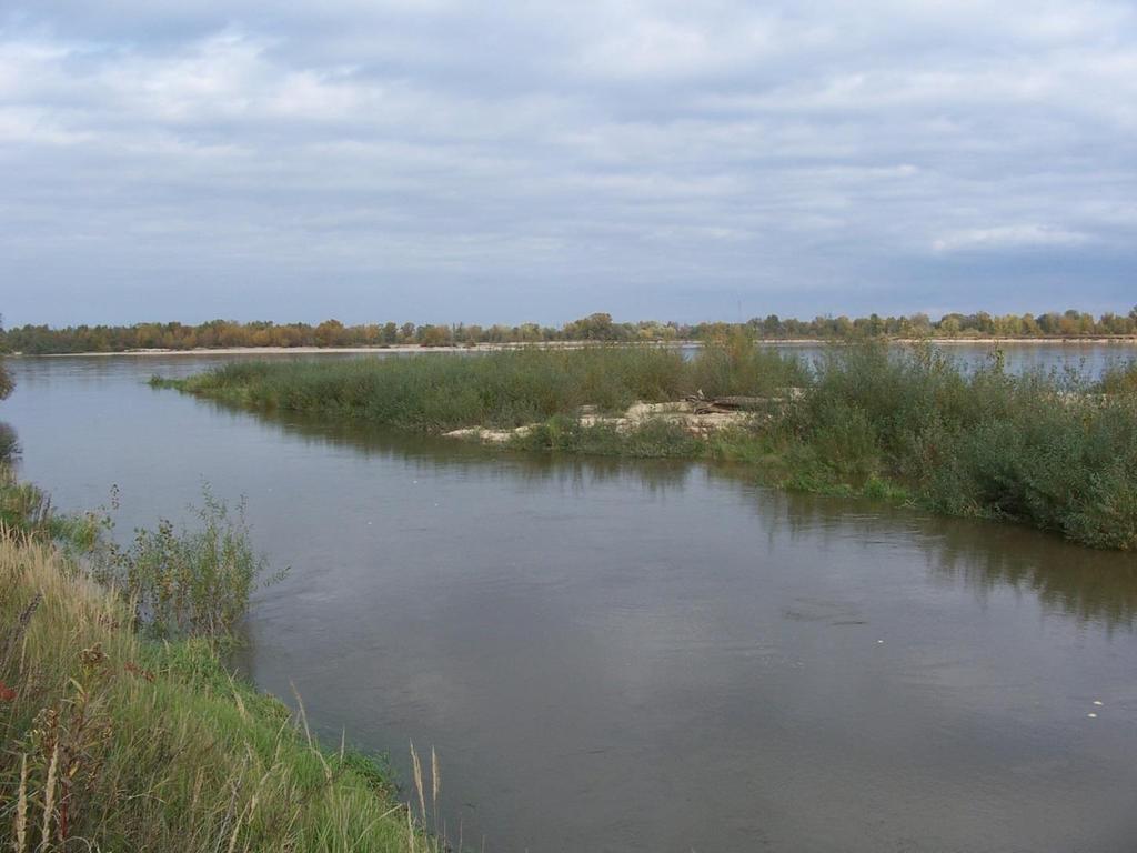 Strefy zalewowe i bagienne retencja wody i biogenów Proporcje