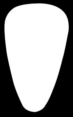 20,00/