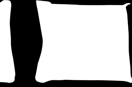 Kabanosy