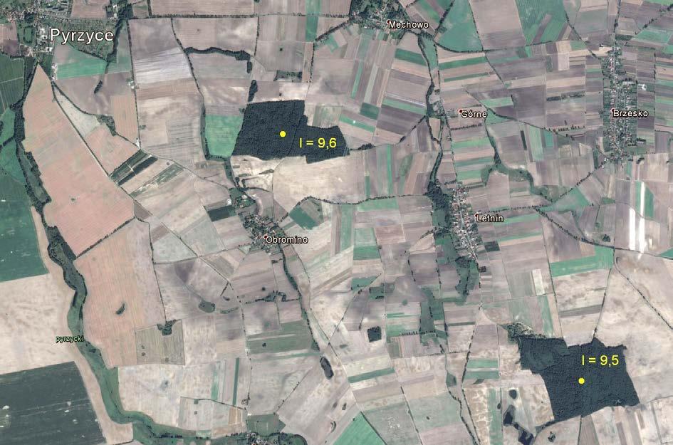 Ryc. 4. Silnie izolowane wyspy leśne na Równinie Pyrzyckiej (promień poszukiwań 2 km). Źródło: opracowanie własne z wykorzystaniem Google Earth. Fig. 4. Isolated forest islands in Pyrzyce Plain (2 km search radius).