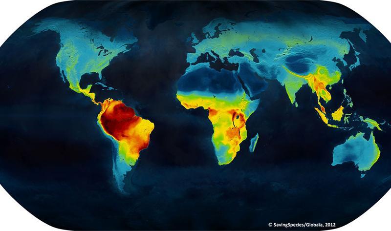 Mapa dywersyfikacji biologicznej