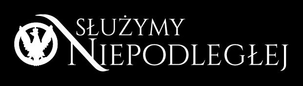 Specyfikacja Istotnych Warunków Zamówienia na Roboty budowlane w zakresie naprawy przesłony P1 na strzelnicy
