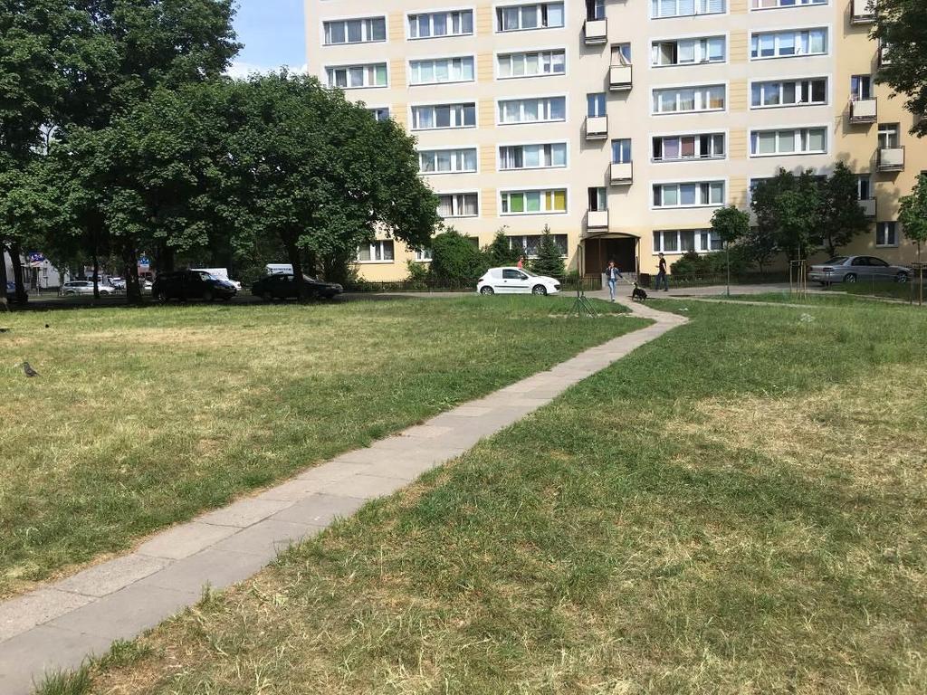 2.3. DOKUMENTACJA FOTOGRAFICZNA Zdj.1.