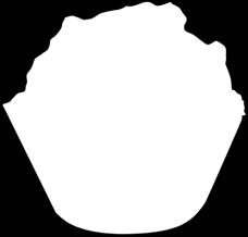 ALTRO (14545) + pokruszone wafle polewa: kuwertura