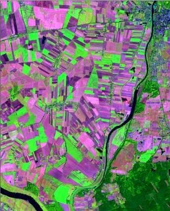 Korekcja geometryczna 59 a) śuławy b) Powiat Wyszków Rys. 3.